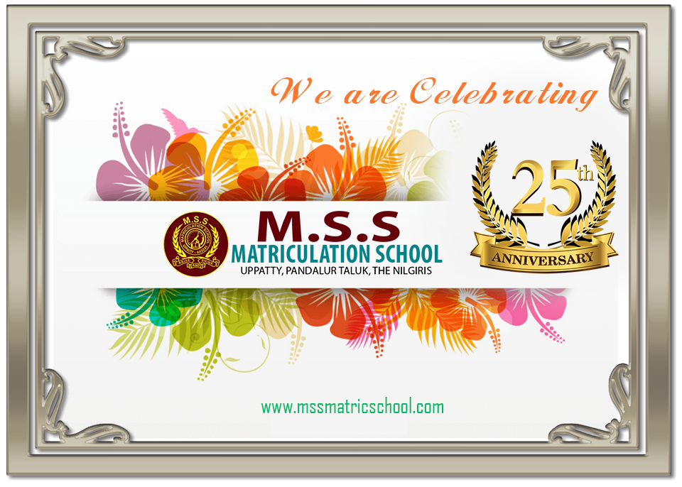 mssmatricschool.com